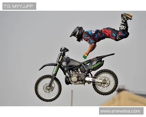 数据分析：上海极限运动队的灵活性表现